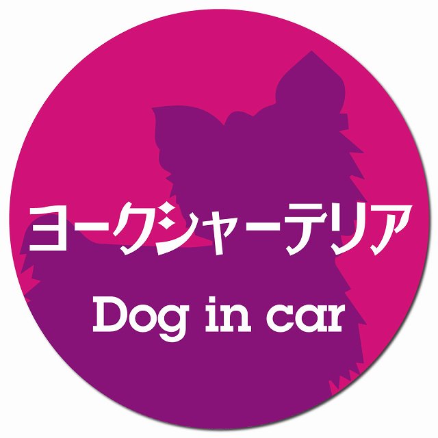 Dog in car ヨークシャーテリア レトロ書体 ピンクパープル マグネット 車用 直径13cm 丸型 カーマグネット 表示プレート