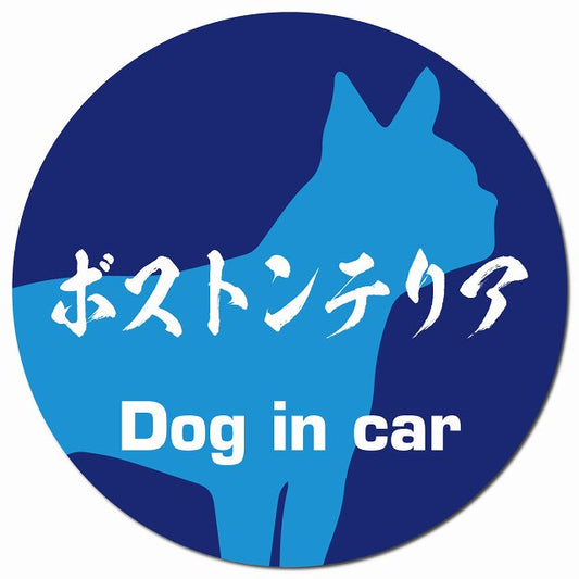 Dog in car ボストンテリア 毛筆書体 ブルー マグネット 車用 直径13cm 丸型 カーマグネット 表示プレート