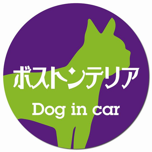 Dog in car ボストンテリア レトロ書体 パープルグリーン マグネット 車用 直径13cm 丸型 カーマグネット 表示プレート