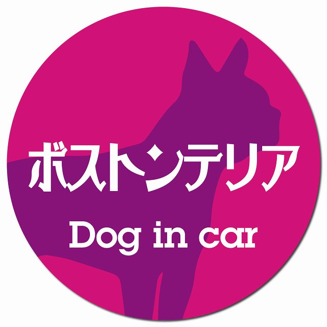 Dog in car ボストンテリア レトロ書体 ピンクパープル マグネット 車用 直径13cm 丸型 カーマグネット 表示プレート
