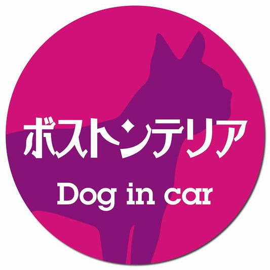 Dog in car ボストンテリア レトロ書体 ピンクパープル マグネット 車用 直径13cm 丸型 カーマグネット 表示プレート