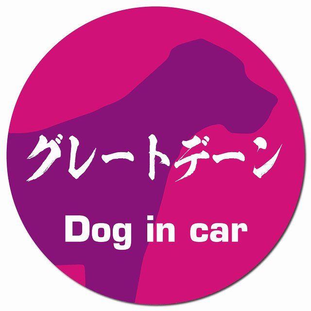 Dog in car グレートデーン 毛筆書体 ピンクパープル マグネット 車用 直径13cm 丸型 カーマグネット 表示プレート