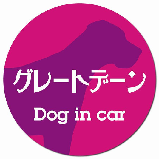 Dog in car グレートデーン レトロ書体 ピンクパープル マグネット 車用 直径13cm 丸型 カーマグネット 表示プレート