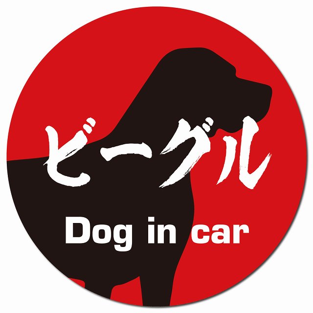 Dog in car ビーグル 毛筆書体 レッドブラック マグネット 車用 直径13cm 丸型 カーマグネット 表示プレート