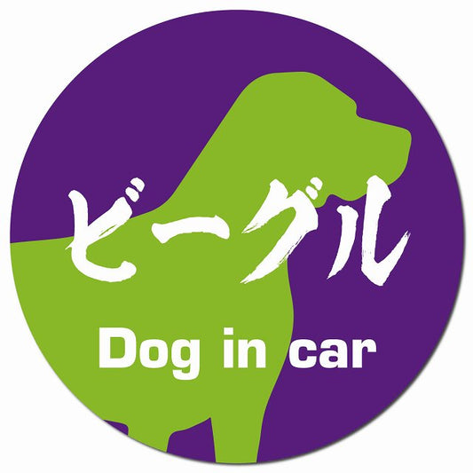 Dog in car ビーグル 毛筆書体 パープルグリーン マグネット 車用 直径13cm 丸型 カーマグネット 表示プレート
