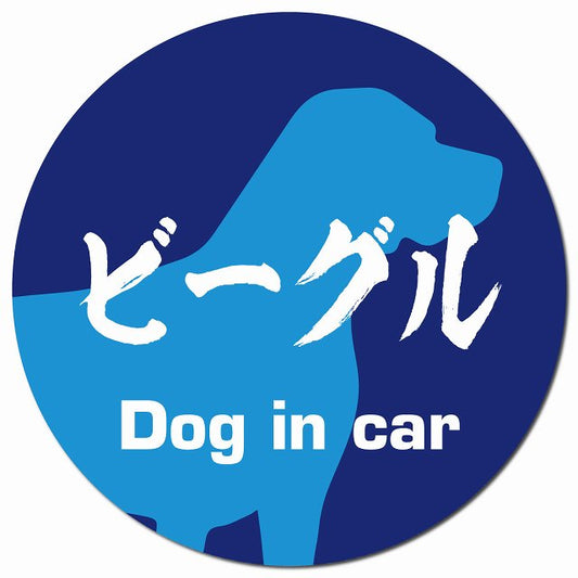 Dog in car ビーグル 毛筆書体 ブルー マグネット 車用 直径13cm 丸型 カーマグネット 表示プレート