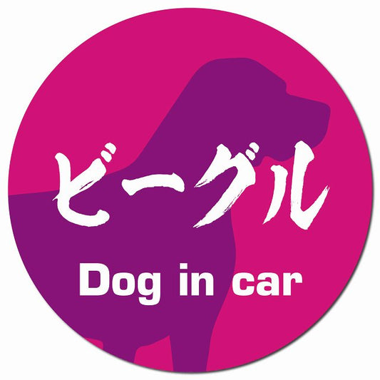 Dog in car ビーグル 毛筆書体 ピンクパープル マグネット 車用 直径13cm 丸型 カーマグネット 表示プレート