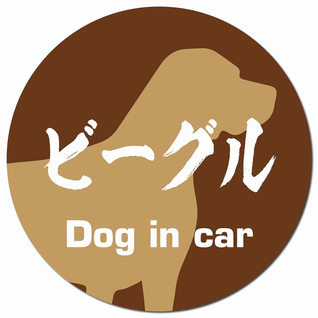 Dog in car ビーグル 毛筆書体 ブラウン マグネット 車用 直径13cm 丸型 カーマグネット 表示プレート