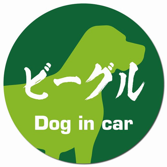 Dog in car ビーグル 毛筆書体 グリーン マグネット 車用 直径13cm 丸型 カーマグネット 表示プレート