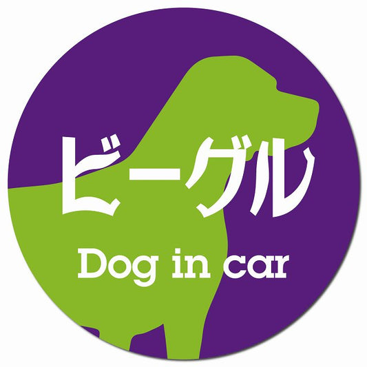Dog in car ビーグル レトロ書体 パープルグリーン マグネット 車用 直径13cm 丸型 カーマグネット 表示プレート
