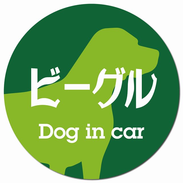 Dog in car ビーグル レトロ書体 グリーン マグネット 車用 直径13cm 丸型 カーマグネット 表示プレート