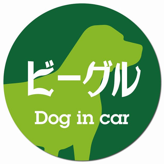 Dog in car ビーグル レトロ書体 グリーン マグネット 車用 直径13cm 丸型 カーマグネット 表示プレート