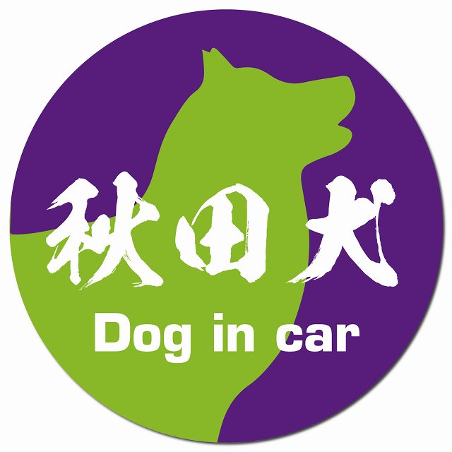 Dog in car 秋田犬 毛筆書体 パープルグリーン マグネット 車用 直径13cm 丸型 カーマグネット 表示プレート