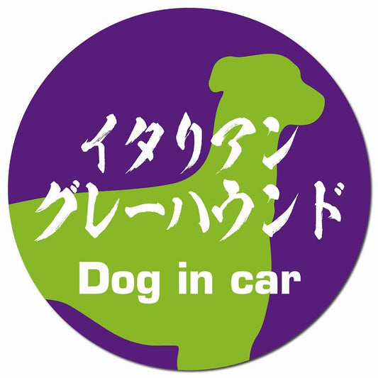 Dog in car イタリアングレーハウンド 毛筆書体 パープルグリーン マグネット 車用 直径13cm 丸型 カーマグネット 表示プレート