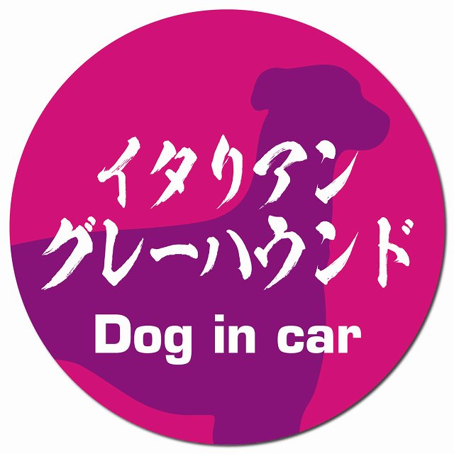 Dog in car イタリアングレーハウンド 毛筆書体 ピンクパープル マグネット 車用 直径13cm 丸型 カーマグネット 表示プレート