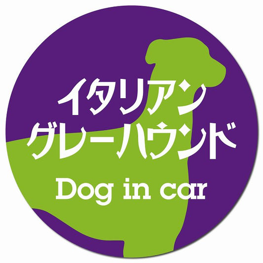 Dog in car イタリアングレーハウンド レトロ書体 パープルグリーン マグネット 車用 直径13cm 丸型 カーマグネット 表示プレート
