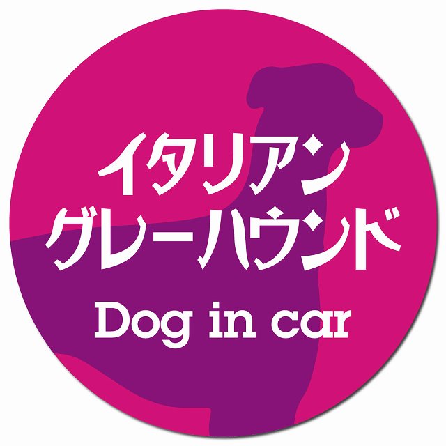 Dog in car イタリアングレーハウンド レトロ書体 ピンクパープル マグネット 車用 直径13cm 丸型 カーマグネット 表示プレート