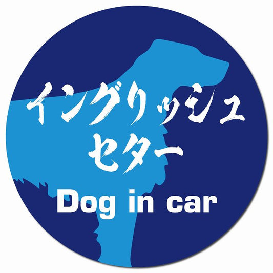 Dog in car イングリッシュセター 毛筆書体 ブルー マグネット 車用 直径13cm 丸型 カーマグネット 表示プレート