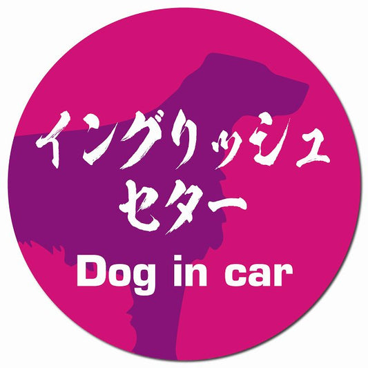 Dog in car イングリッシュセター 毛筆書体 ピンクパープル マグネット 車用 直径13cm 丸型 カーマグネット 表示プレート