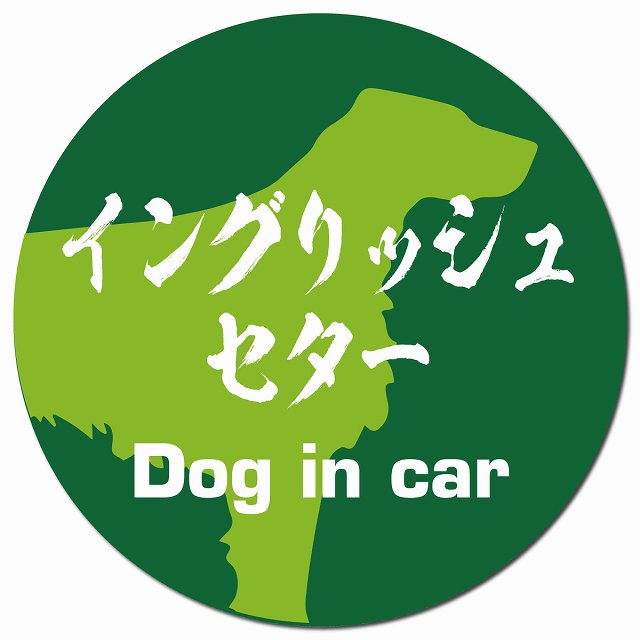 Dog in car イングリッシュセター 毛筆書体 グリーン マグネット 車用 直径13cm 丸型 カーマグネット 表示プレート