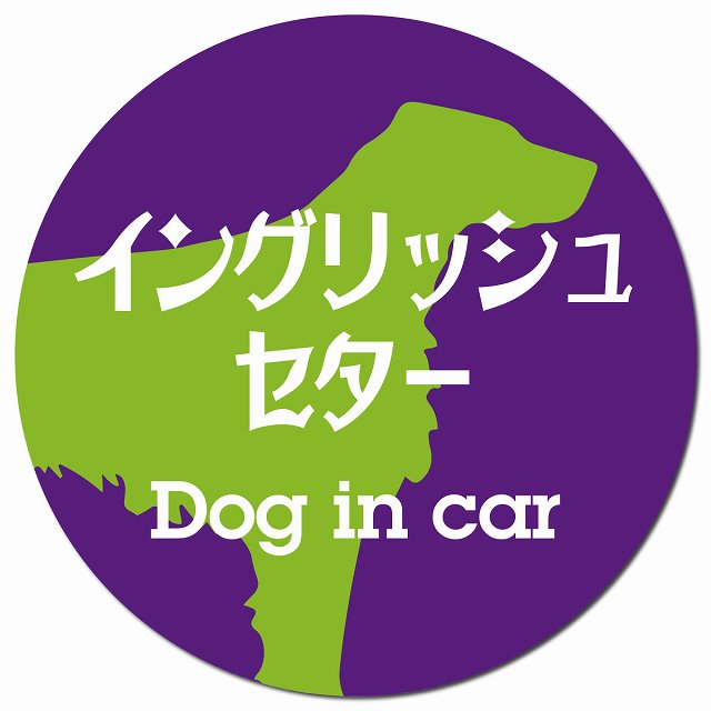 Dog in car イングリッシュセター レトロ書体 パープルグリーン マグネット 車用 直径13cm 丸型 カーマグネット 表示プレート