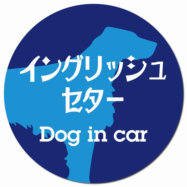 Dog in car イングリッシュセター レトロ書体 ブルー マグネット 車用 直径13cm 丸型 カーマグネット 表示プレート