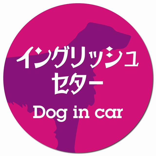 Dog in car イングリッシュセター レトロ書体 ピンクパープル マグネット 車用 直径13cm 丸型 カーマグネット 表示プレート