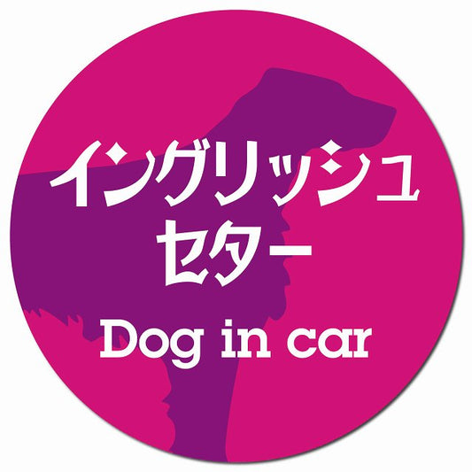 Dog in car イングリッシュセター レトロ書体 ピンクパープル マグネット 車用 直径13cm 丸型 カーマグネット 表示プレート