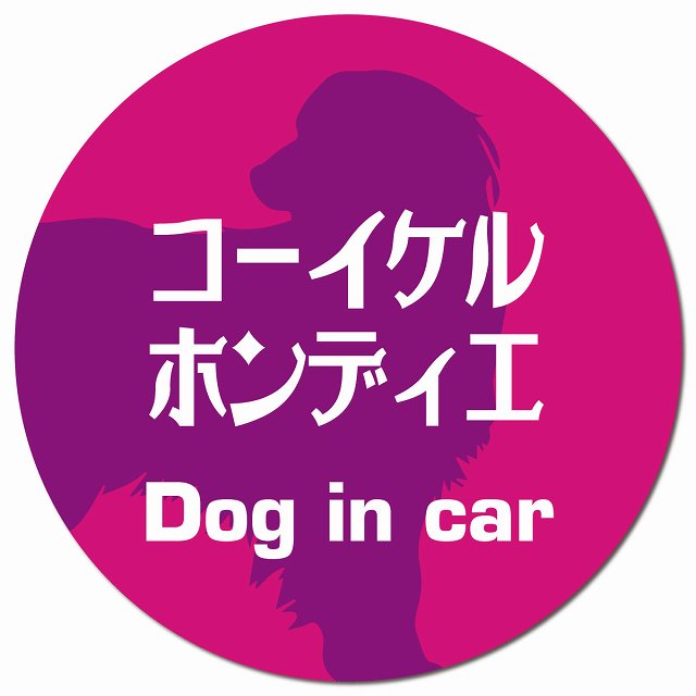 Dog in car コーイケルホーンディエ レトロ書体 ピンクパープル マグネット 車用 直径13cm 丸型 カーマグネット 表示プレート