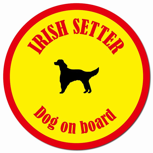 カラフル Dog on board アイリッシュセター イエロー&レッド マグネット 車用 直径13cm 丸型 カーマグネット