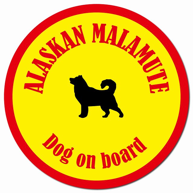 カラフル Dog on board アラスカンマラミュート イエロー&レッド マグネット 車用 直径13cm 丸型 カーマグネット
