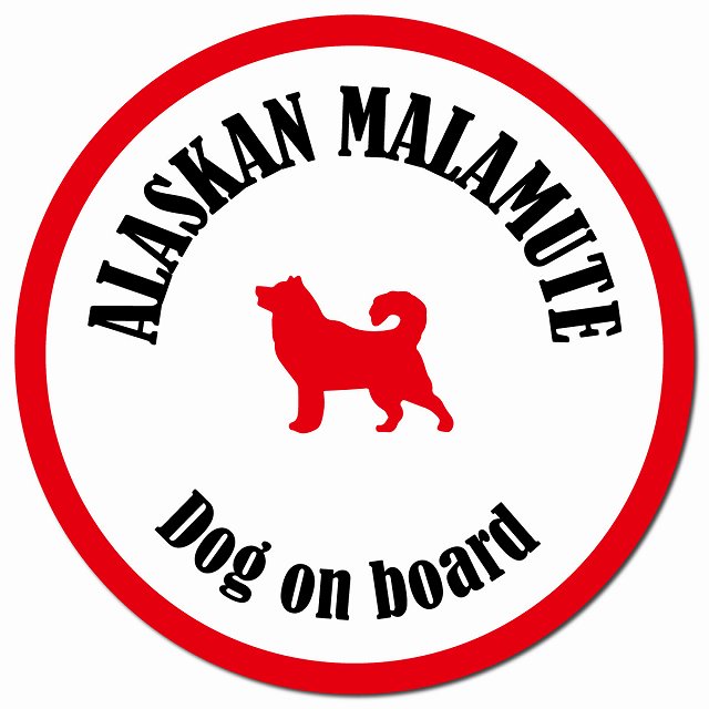 カラフル Dog on board アラスカンマラミュート ホワイト&レッド マグネット 車用 直径13cm 丸型 カーマグネット
