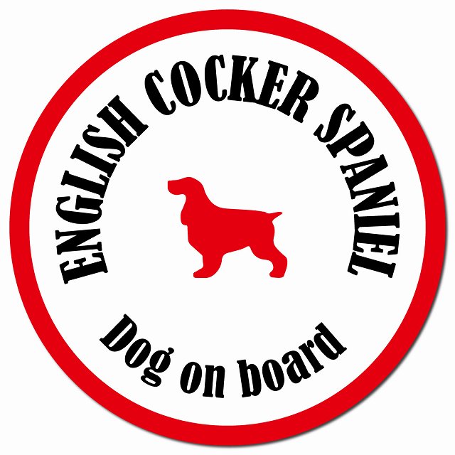 カラフル Dog on board イングリッシュコッカースパニエル ホワイト&レッド マグネット 車用 直径13cm 丸型 カーマグネット