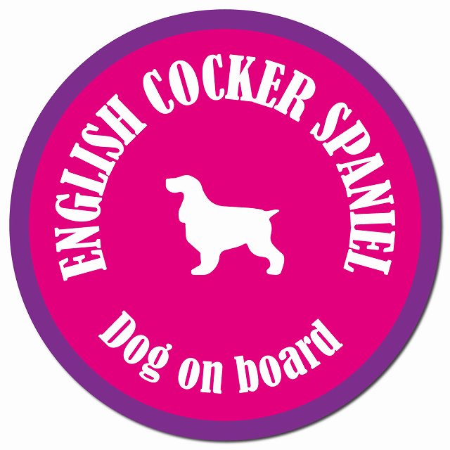 カラフル Dog on board イングリッシュコッカースパニエル ピンク&パープル マグネット 車用 直径13cm 丸型 カーマグネット