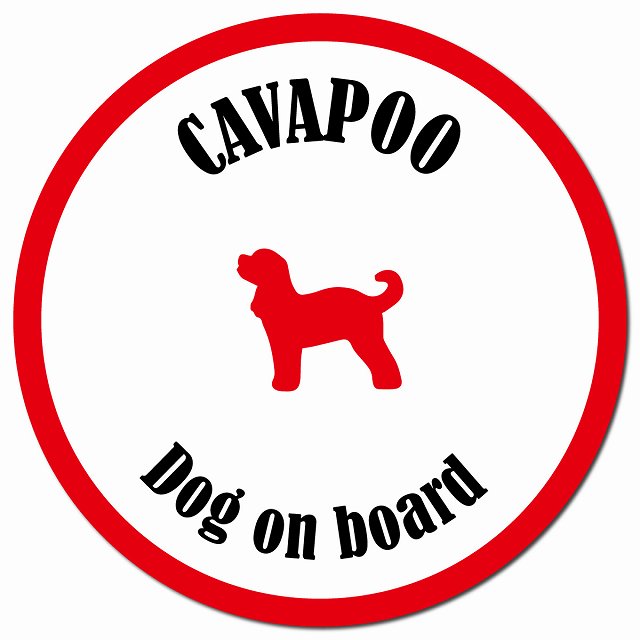 カラフル Dog on board キャバプー ホワイト&レッド マグネット 車用 直径13cm 丸型 カーマグネット