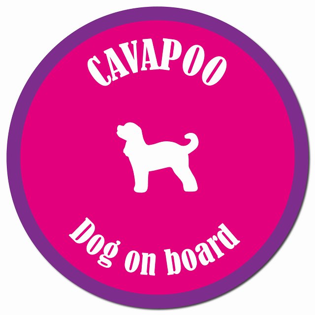 カラフル Dog on board キャバプー ピンク&パープル マグネット 車用 直径13cm 丸型 カーマグネット