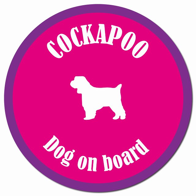 カラフル Dog on board コッカプー ピンク&パープル マグネット 車用 直径13cm 丸型 カーマグネット