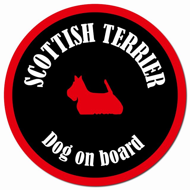 カラフル Dog on board スコティッシュテリア ブラック&レッド マグネット 車用 直径13cm 丸型 カーマグネット