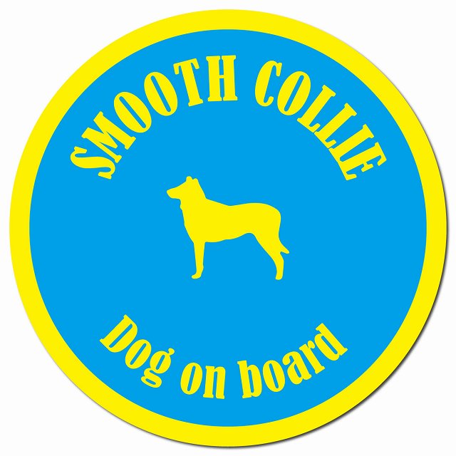 カラフル Dog on board スムースコリー ブルー&イエロー マグネット 車用 直径13cm 丸型 カーマグネット