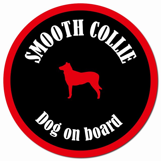 カラフル Dog on board スムースコリー ブラック&レッド マグネット 車用 直径13cm 丸型 カーマグネット