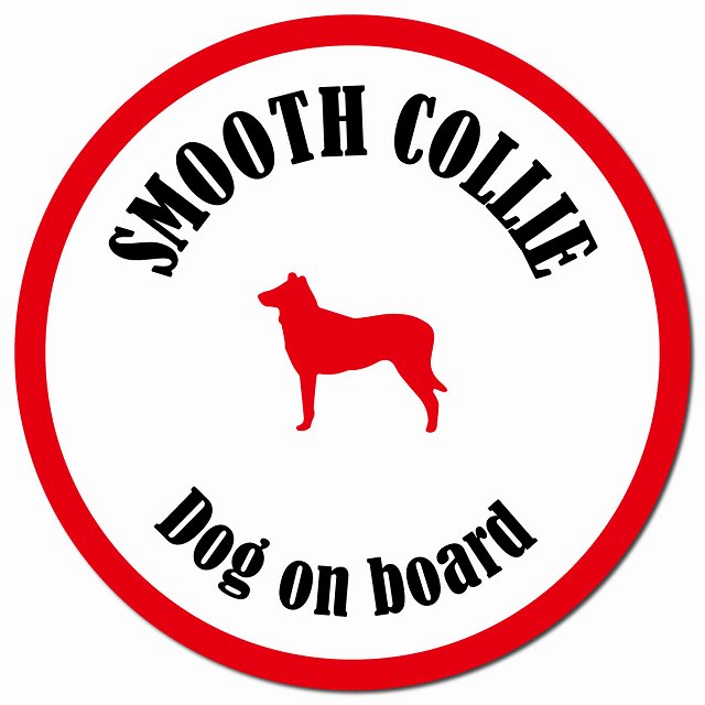 カラフル Dog on board スムースコリー ホワイト&レッド マグネット 車用 直径13cm 丸型 カーマグネット