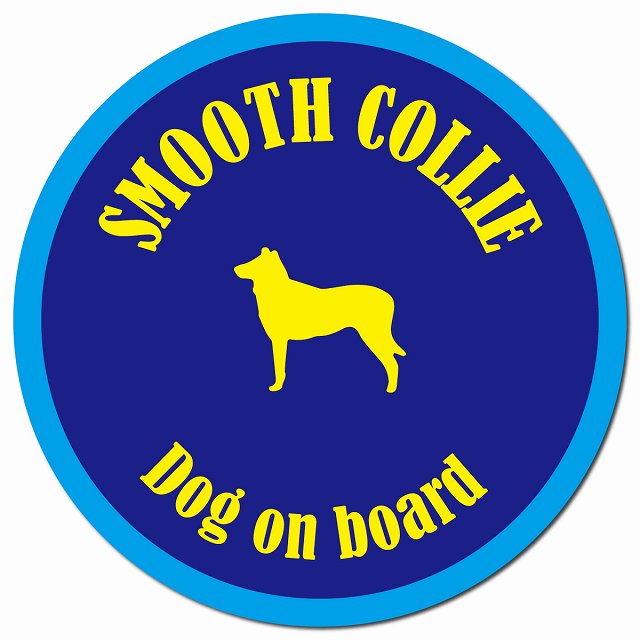 カラフル Dog on board スムースコリー ネイビー&ブルー マグネット 車用 直径13cm 丸型 カーマグネット