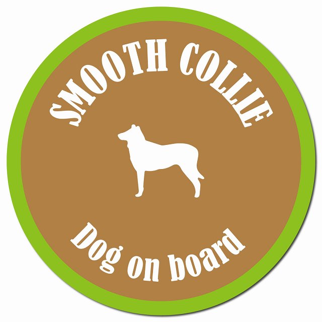 カラフル Dog on board スムースコリー ブラウン&グリーン マグネット 車用 直径13cm 丸型 カーマグネット