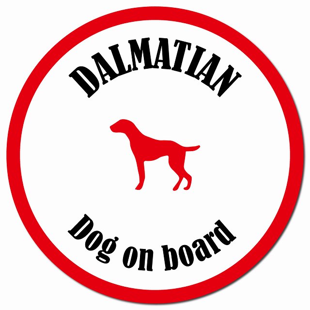 カラフル Dog on board ダルメシアン ホワイト&レッド マグネット 車用 直径13cm 丸型 カーマグネット
