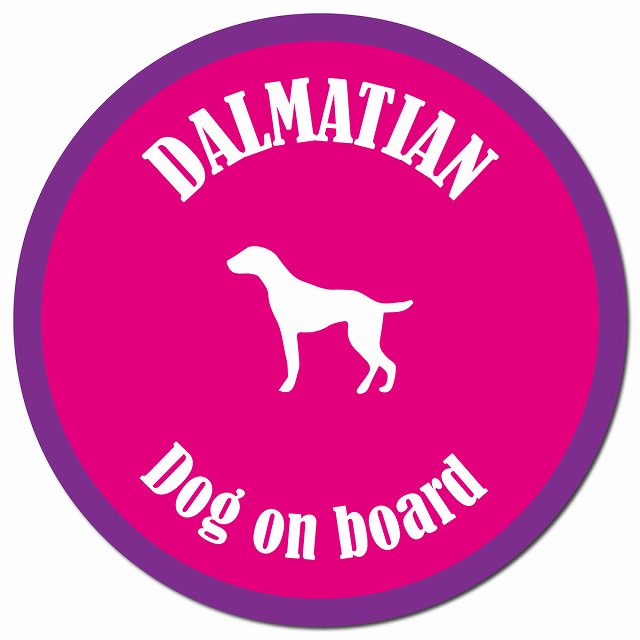 カラフル Dog on board ダルメシアン ピンク&パープル マグネット 車用 直径13cm 丸型 カーマグネット