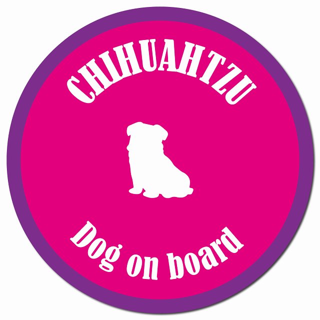 カラフル Dog on board チワズー ピンク&パープル マグネット 車用 直径13cm 丸型 カーマグネット