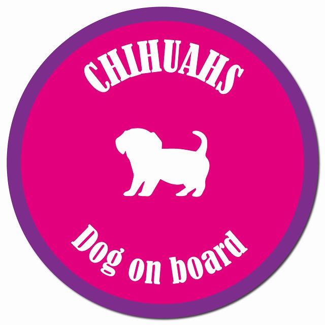 カラフル Dog on board チワックス ピンク&パープル マグネット 車用 直径13cm 丸型 カーマグネット