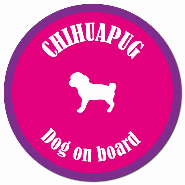 カラフル Dog on board チワパグ ピンク&パープル マグネット 車用 直径13cm 丸型 カーマグネット