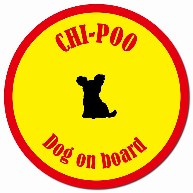 カラフル Dog on board チワプー イエロー&レッド マグネット 車用 直径13cm 丸型 カーマグネット