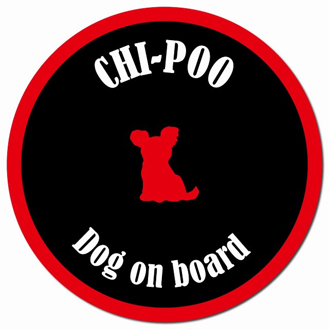 カラフル Dog on board チワプー ブラック&レッド マグネット 車用 直径13cm 丸型 カーマグネット